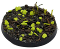Base X Terrain | Basecover | Toxic Desert