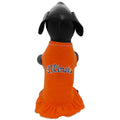 Fighting Illini Pet Cheer Dress