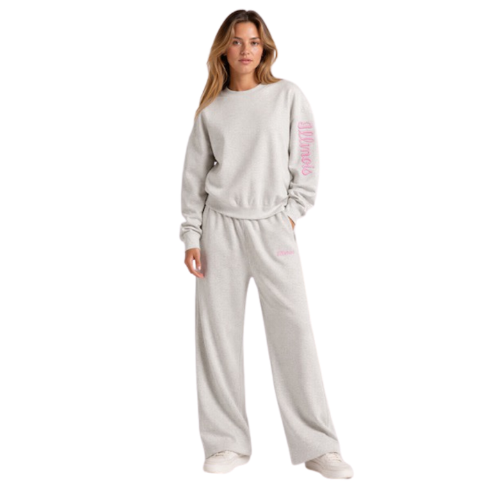 Fighting Illini Women's Script Applique Sleeve Grey Crewneck