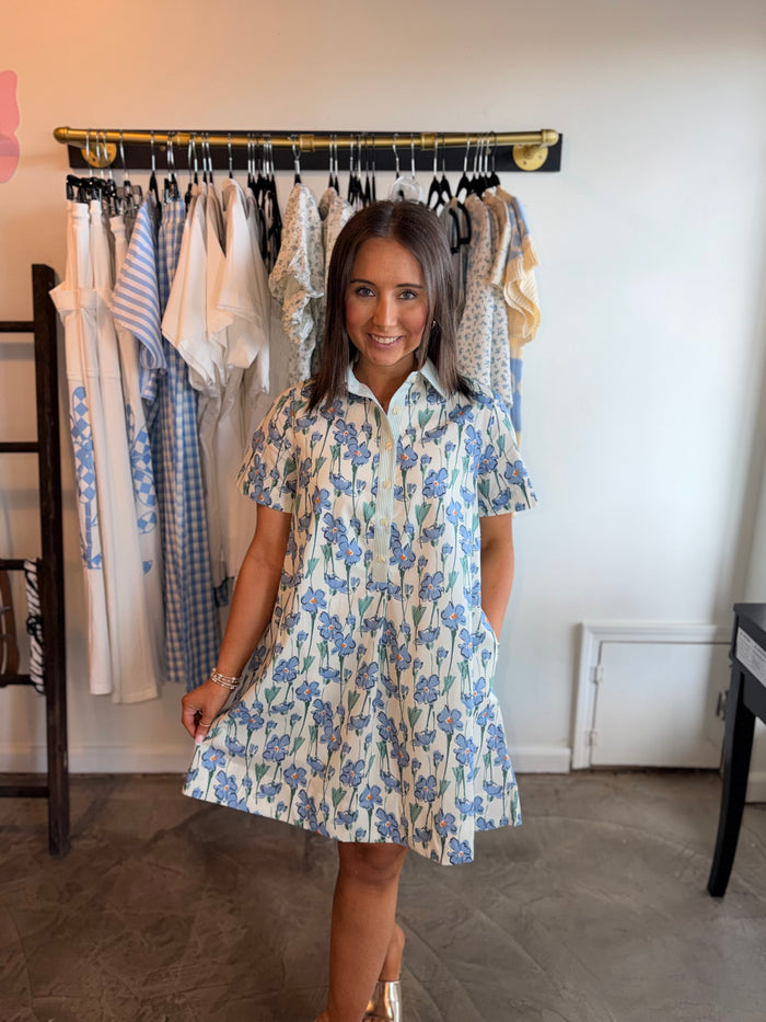 Floral & Stripe Swing Mini Dress