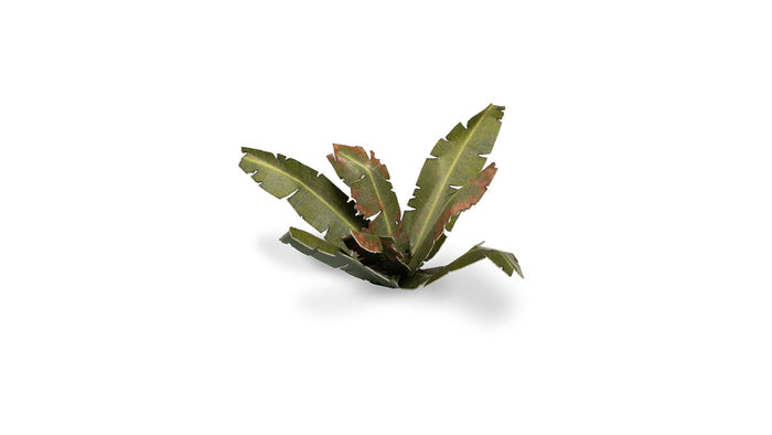Gamers Grass | Laser Plants | Banana Tree