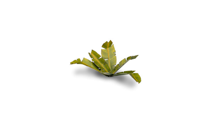 Gamers Grass | Laser Plants | Banana Tree