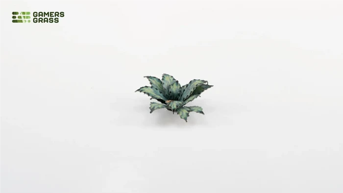 Gamers Grass | Laser Plants | Blue Agave