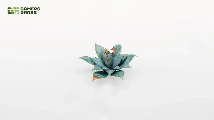 Gamers Grass | Laser Plants | Blue Agave