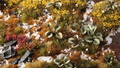 Gamers Grass | Laser Plants | Bugloss