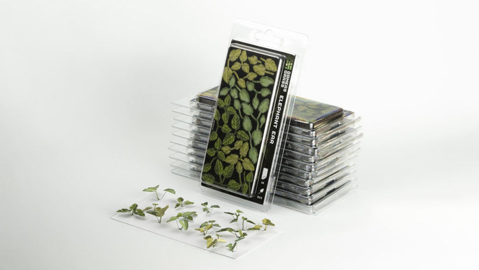 Gamers Grass | Laser Plants | Elephant Ear