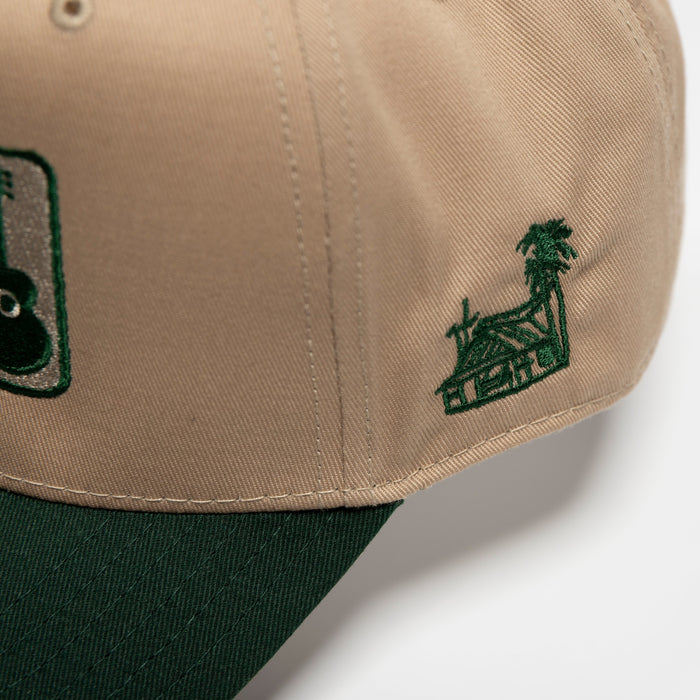 Harmony Snapback