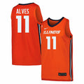 Illinois Fighting Illini Nike Basketball Jersey #11 Alves