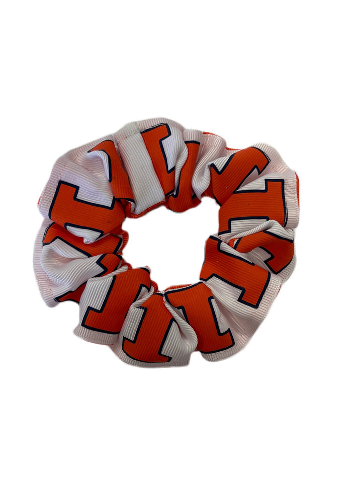 Illinois Fighting Illini Block I Pony