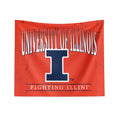Illinois Fighting Illini Hanging Wall Decor