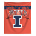 Illinois Fighting Illini Hanging Wall Decor