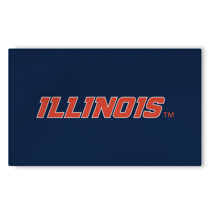 Illinois Fighting Illini Medium Rug