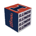 Illinois Fighting Illini Puzzle Cube