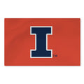 Illinois Fighting Illini Small Rug