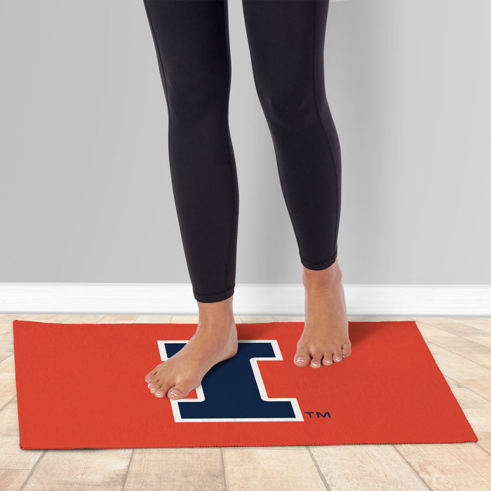 Illinois Fighting Illini Small Rug