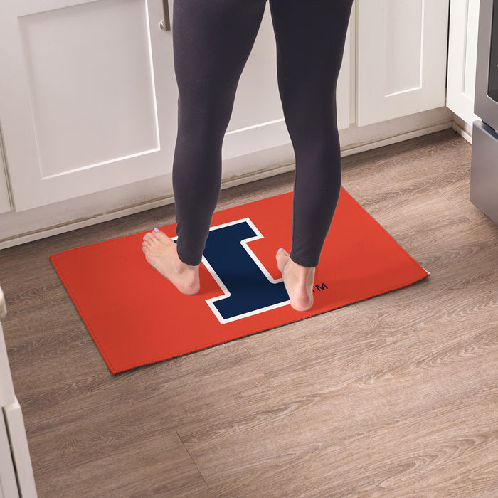 Illinois Fighting Illini Small Rug