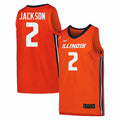 Illinois Fighting Illini Women's Basketball Jersey #2 Destiny Jackson