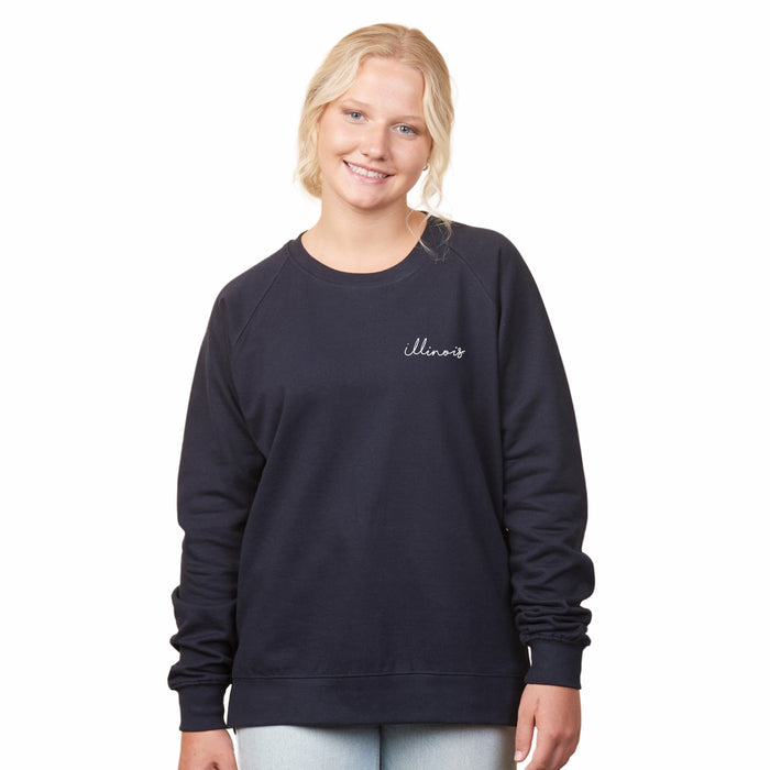 Illinois Fighting Illini Womens Plus Size Pullover Crew