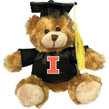 Illinois Graduation Plush Brown Bear Cap/Gown