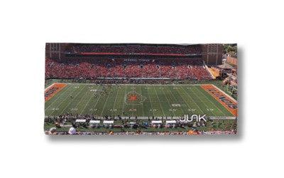 Illinois Headband Memorial Stadium Panorama