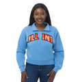 Illinois Light Blue Illini Quarter-Zip Pullover