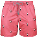 MEN SWIMWEAR TOUCAN RIO - shop.livefree.co.uk