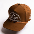 Sessions Live Snapback