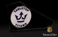 Tabletop Titans | White | Metal Combat Gauge | Baron Coin™ Compatible